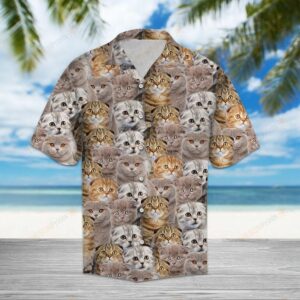 Scottish Fold Brown Nice Design Hawaiian Shirt For Men Women  - Thelegend59