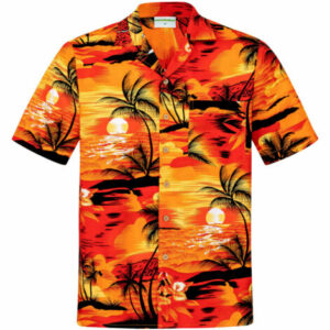 Short Sleeve Summer Beach Hawaiian Shirt -Beautiful Sunset -Ahw300722-9  - Thelegend59