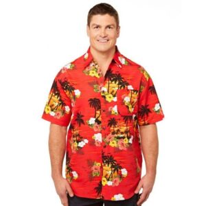 Sunset Red Nice Design Hawaiian Shirt  - Thelegend59